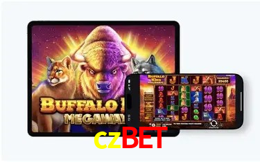 Estatísticas czbet
